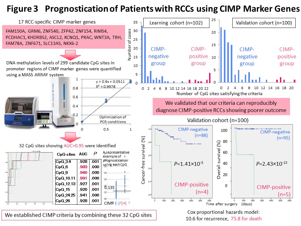 Figure 3 Prognostication of Patients with RCCs using CIMP Marker Genes