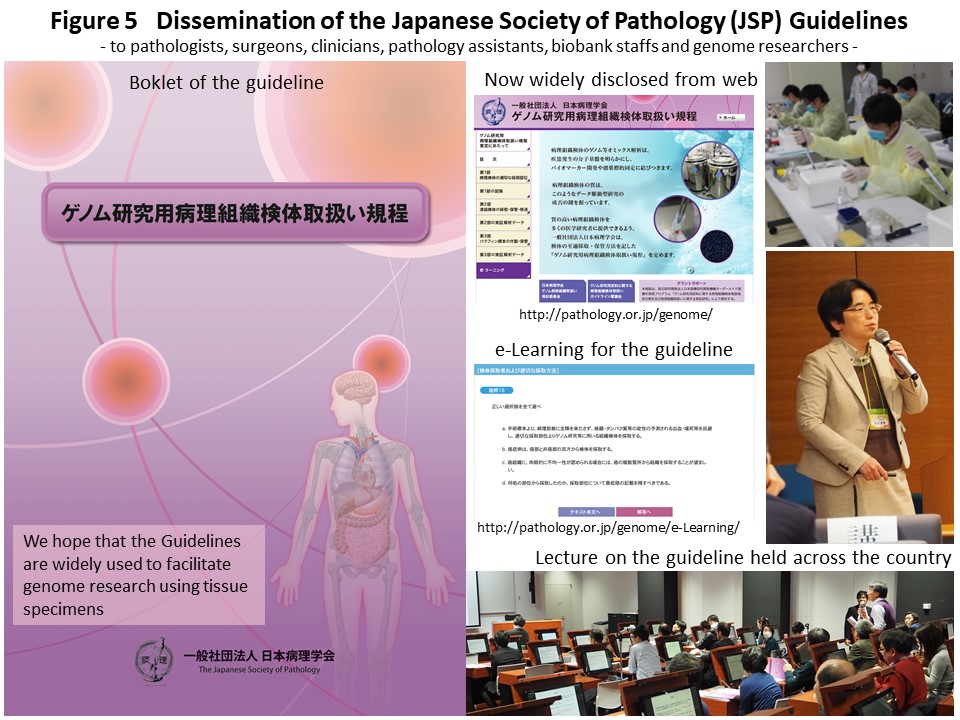 Figure 5 Dissemination of the Japanese Society of Pathology (JSP) Guidelines