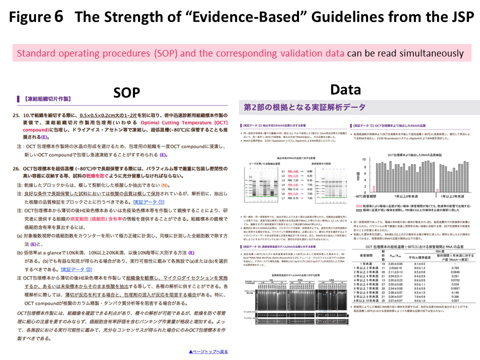 Figure 6 The Strength of Evidence-Based Guidelines from the JSP