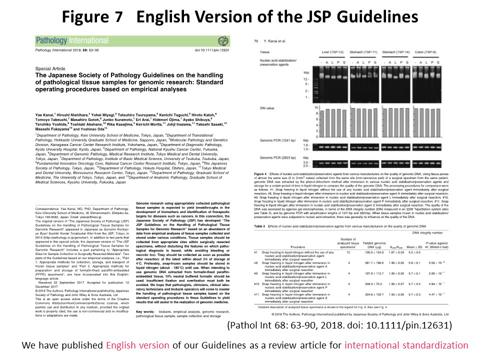 Figure 7 English Version of the JSP Guidelines