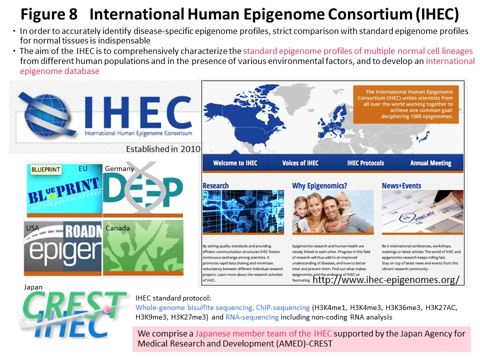 Figure 8 International Human Epigenome Consortium (IHEC)