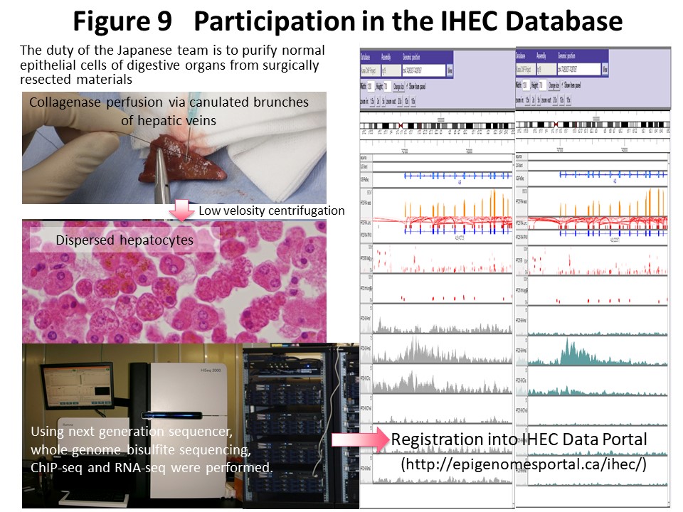 Figure 9 Participation in the IHEC Database