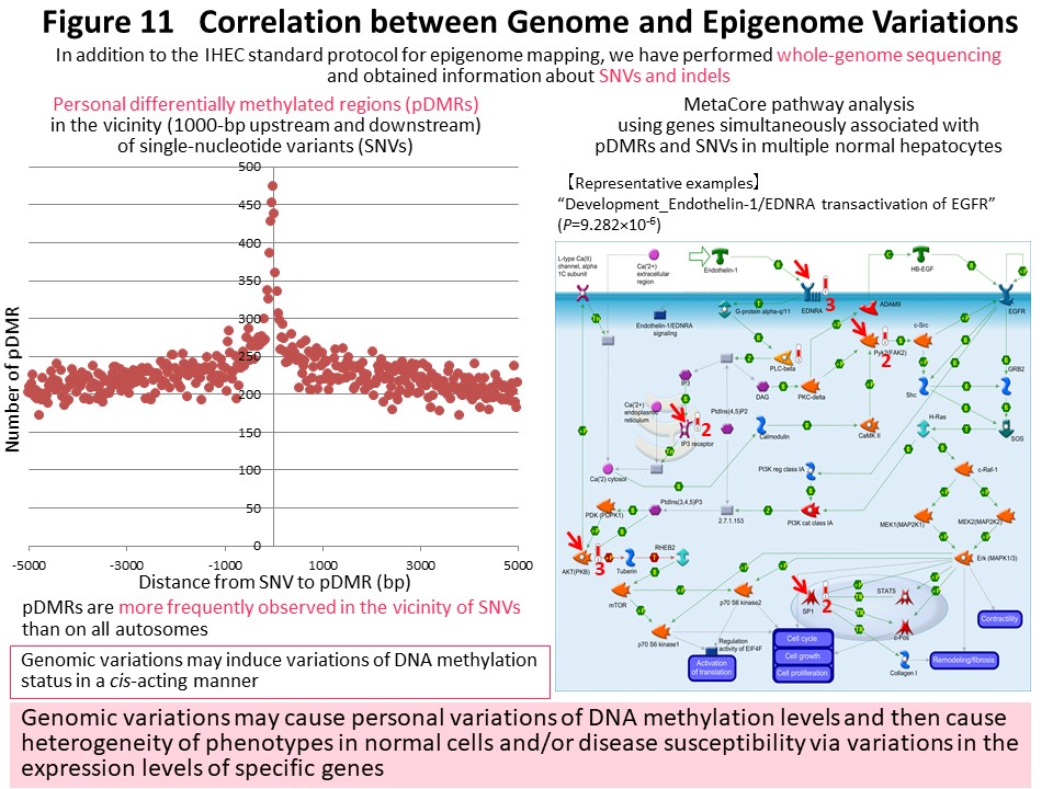 FFigure 11 Correlation between Genome and Epigenome Variations