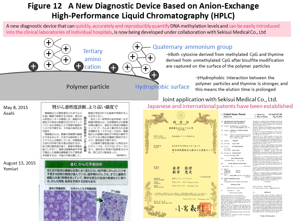 Figure 12 A New Diagnostic Device Based on Anion-Exchange High-Performance Liquid Chromatography (HPLC)