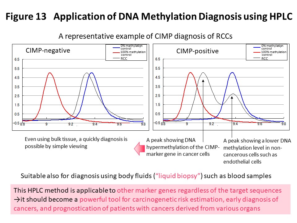 Figure 13 Application of DNA Methylation Diagnosis using HPLC