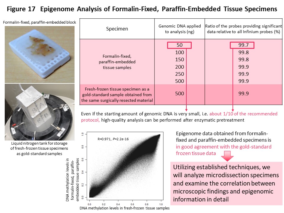 Figure 17 Epigenome Analysis of Formalin-Fixed, Paraffin-Embedded Tissue Specimens