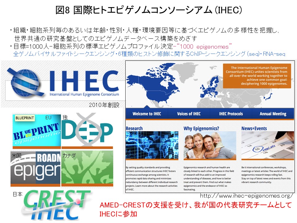 図8 国際ヒトエピゲノムコンソーシアム (IHEC) 