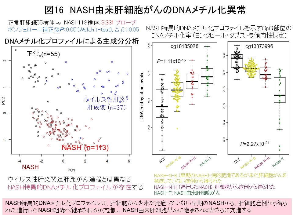 図16  NASH由来肝細胞がんのDNAメチル化異常
